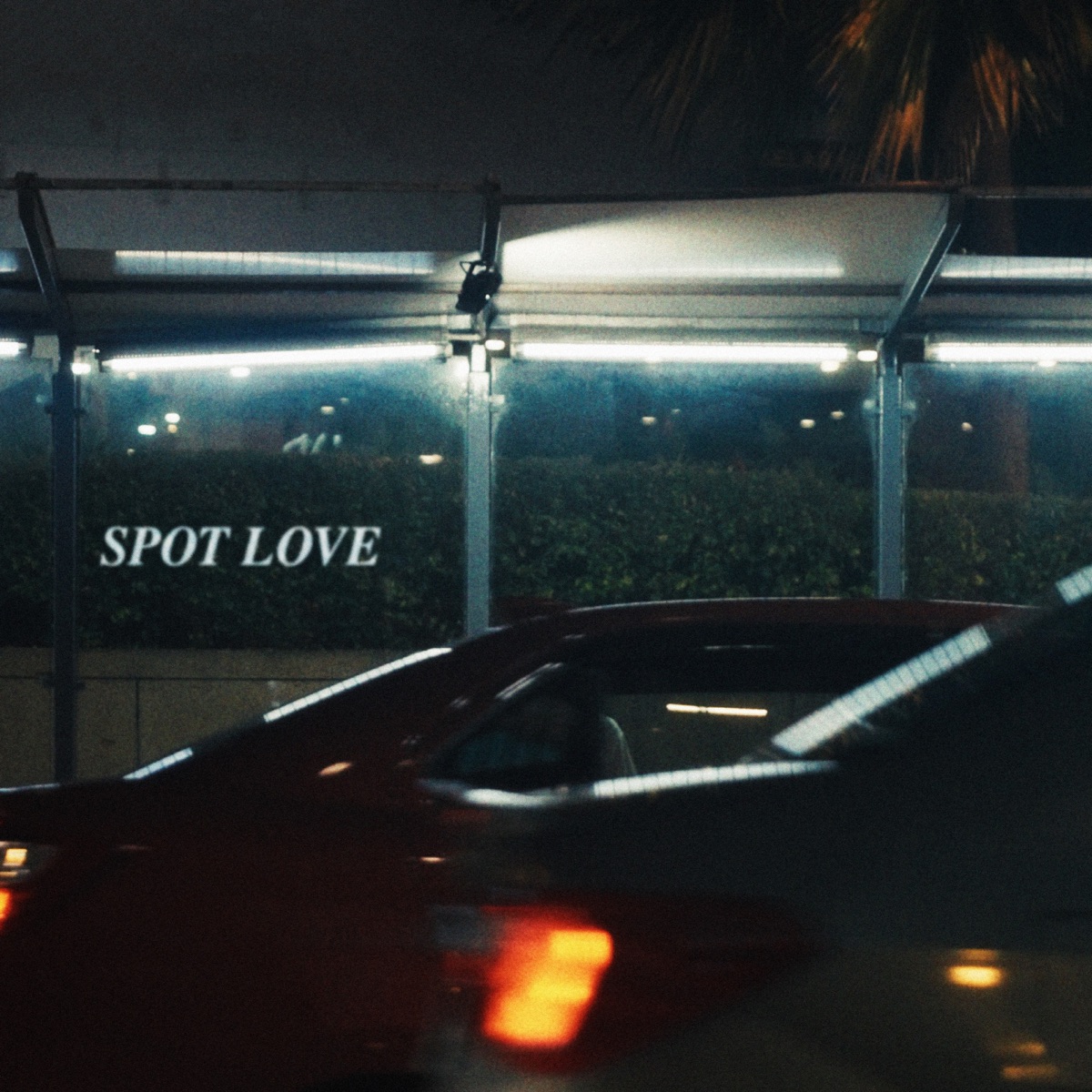 Spot Love by Swagcky cover artwork